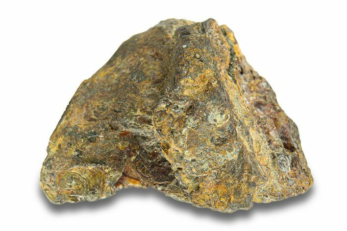 Pallasite Meteorite ( g) - NWA #281413